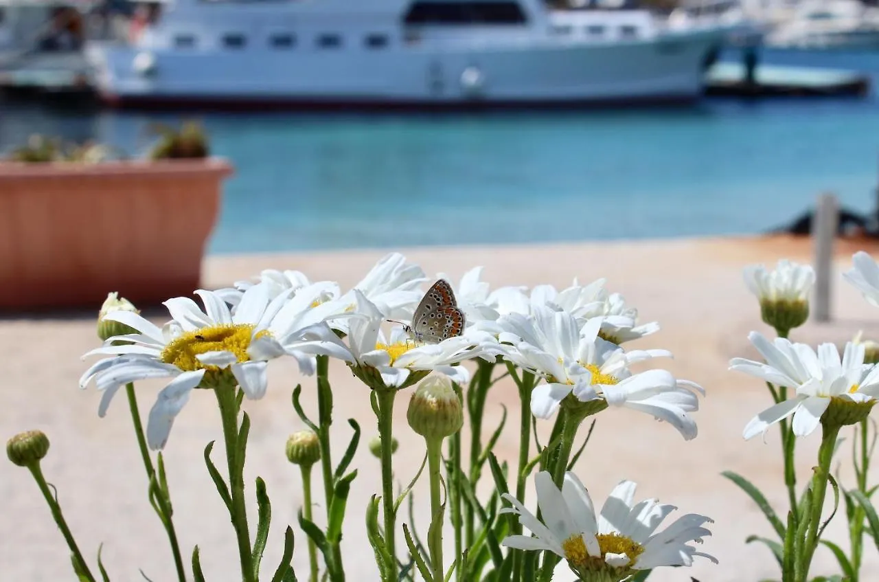 Desy Appartamenti San Vito Lo Capo 0*,  Italia